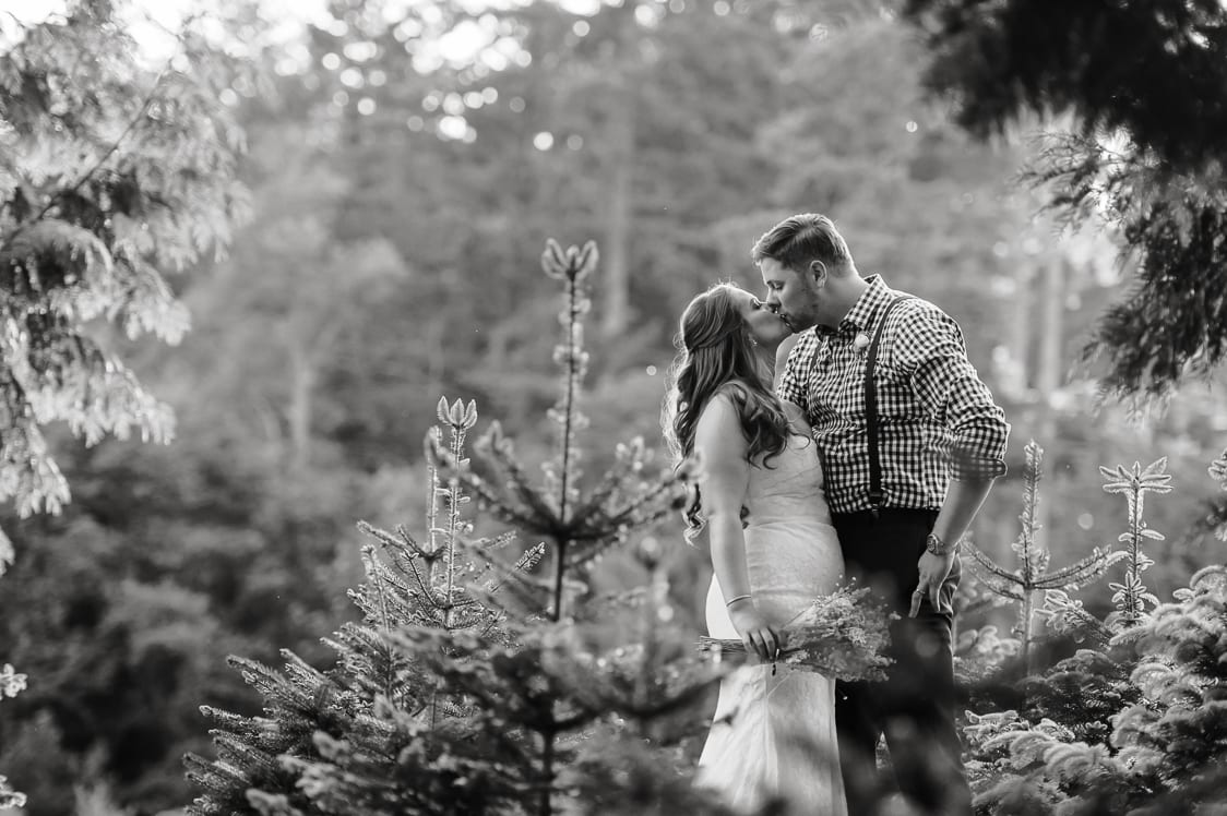 Trinity Tree Farm 095